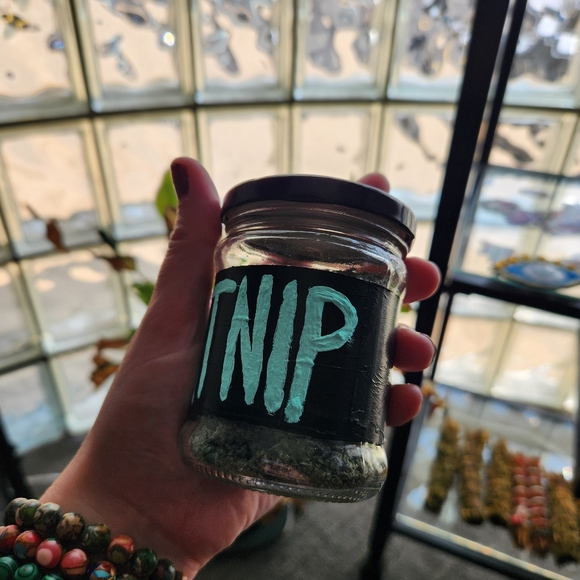 Catnip - Picture 3 of 7